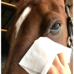 Soins zones sensibles en lingettes x 25 Easy Shine Wipe - Ravene