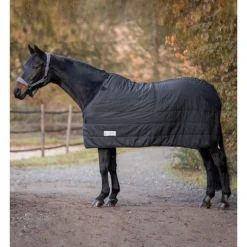 Sous couverture cheval anti-glisse Thermo Clip'in system 100g - Waldhausen