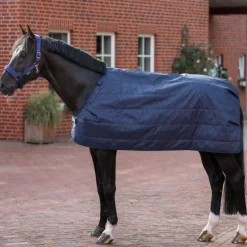 Sous couverture cheval Liner 300g - Bucas
