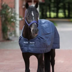 Sous couverture cheval Liner 300g - Bucas