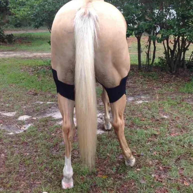 Strapping Grassets et rotules cheval thérapeutique régénérant -Titane Liquide - Fenwick