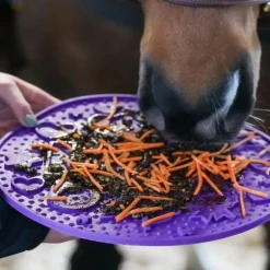 Tapis à lécher cheval Graze Maze - Likit