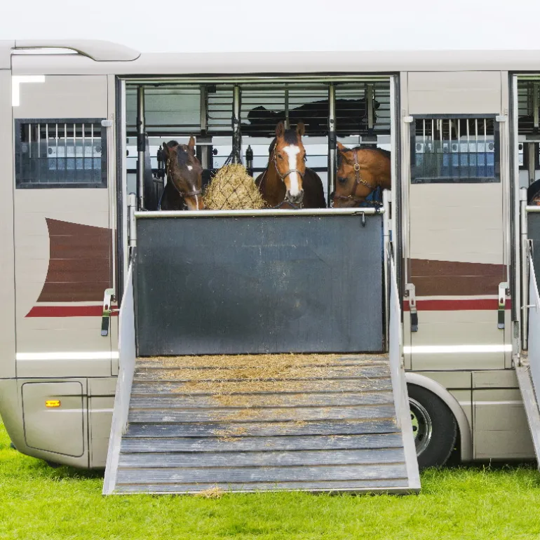 Tapis caoutchouc avec tasseau pont de van ou camion cheval - IDS