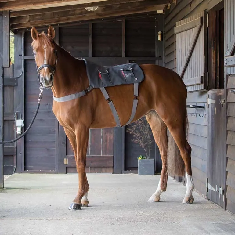 Tapis de massage cheval - Equilibrium