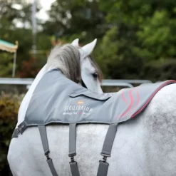 Tapis de massage cheval chauffant Heatsense - Equilibrium