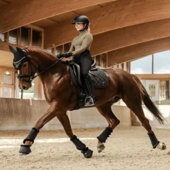 Tapis de selle cheval Phoenix - Waldhausen