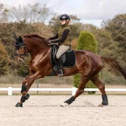 Tapis de selle cheval St Gallen - Waldhausen