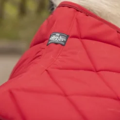 Tapis de selle shetland Prem's - Paddock Sports