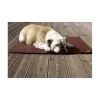 Tapis thérapeutique chat chien Sleepy dog