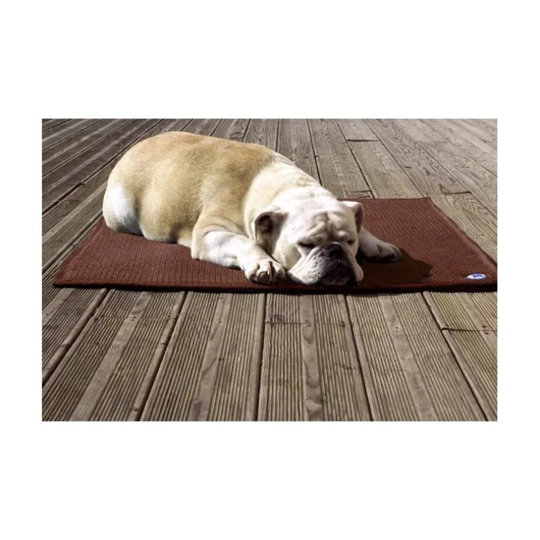 Tapis thérapeutique chat chien Sleepy dog