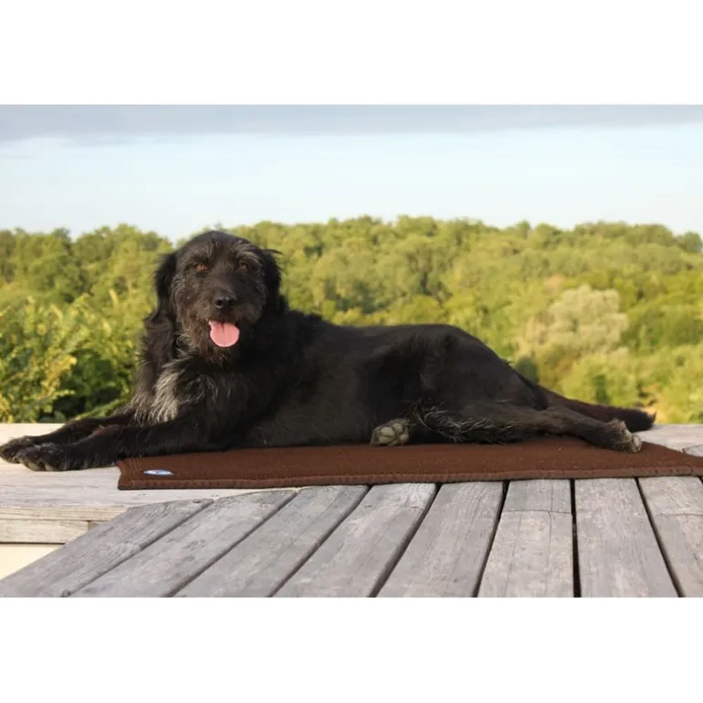 Tapis thérapeutique chat chien Sleepy dog