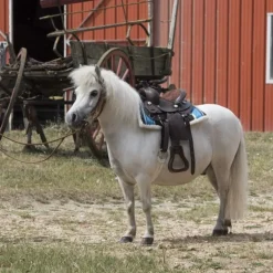 Tapis western poney Navajo - Westride
