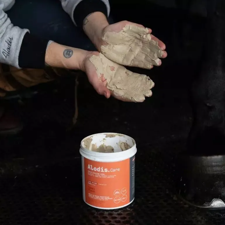 Tendi Flash - Argile de récupération sportive cheval - Alodis Care