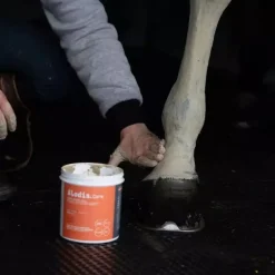 Tendi Flash - Argile de récupération sportive cheval - Alodis Care