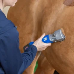 Tondeuse chevaux batterie Econom - Aesculap