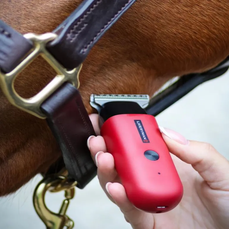 Tondeuse de finition cheval Batterie Robin - Liveryman