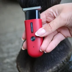 Tondeuse de finition cheval Batterie Robin - Liveryman