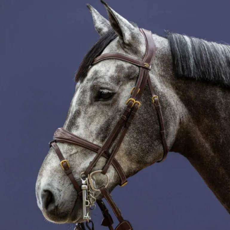 Têtière de bride cheval D Collection - Dy'on