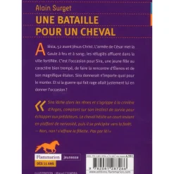 Une bataille pour un cheval - Flammarion