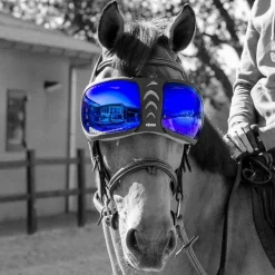 Verres de remplacement masque Evysor - Equick